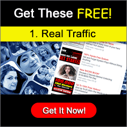 LeadsLeap website traffic and lead generation